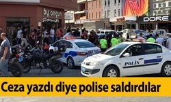 Ceza yazdı diye polise saldırdılar