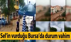 Gemlik ve Mudanya'yı sel vurdu