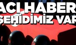 MSB: 1 şehit, 2 yaralımız var