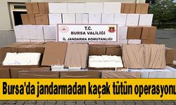 Bursa'da jandarmadan kaçak tütün operasyonu