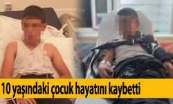 Bitlis'te kuduz teşhisi konulan 10 yaşındaki çocuk hayatını kaybetti