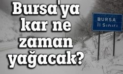 La nina kışı geliyor... Bursa'ya kar ne zaman yağacak?