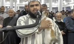 Cezayir'de imamın kedi şefkati viral oldu
