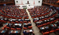 Türkoğlu ve Toktaş Bursa'daki arbedeyi Meclis'e taşıdılar
