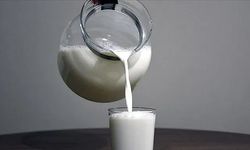 Çiğ süte zam Ulusal Süt Konseyi duyurdu!