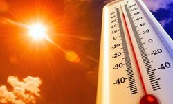 Bursa'da Kasım ayı sıcaklık rekoru kırıldı