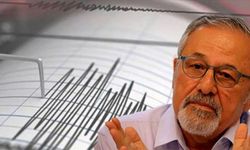 Naci Görür'den Tokat'taki 5,6'lık deprem hakkında açıklama