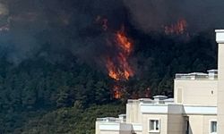 İstanbul Maltepe'de orman yangını: Alevler yerleşim yerlerine yaklaştı