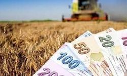 Çiftçileri sevindiren haber geldi! Destek ödemeleri hesaplara yatırılıyor