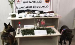 İnegöl Jandarma'dan uyuşturucu operasyonu