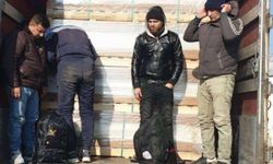 Edirne'de 232  kaçak göçmen yakalandı
