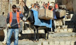 Mardin'in simgesi 'Çöp Eşeklerin' görevleri sona eriyor