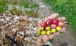 İnegöl merkezi sağanak kırsalı ise dolu vurdu