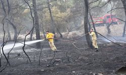 Manisa İtfaiyesi'nin yangın mücadelesi sürüyor