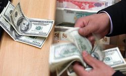 Merkez Bankası yıl sonu dolar tahminini açıkladı!