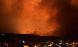 Diyarbakır’da 3 kırsal mahalleyi etkisi altına alan büyük yangın