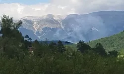Bursa Keles'te orman yangını