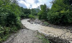 Ordu'da üç ilçeyi sel vurdu: 1 ölü