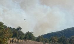 Bursa iznik'de ormanlık alanda yangın çıktı