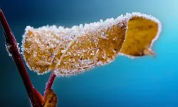 Bursalılar Dikkat! Bursa Valiliği'nden meteorolojik uyarı