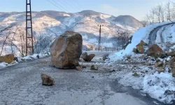 Eriyen karlar heyelanlara yol açtı