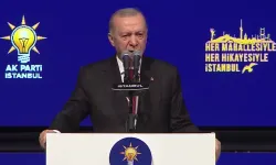 Cumhurbaşkanı Erdoğan: AK Parti, kimsesizlerin kimsesi olmak için yola Çıktı