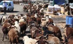 İzmir Karabağlar'da Kurban Bayramı öncesi örnek uygulama