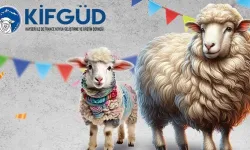 Kayseri Talas'ta France ırkına özel festival