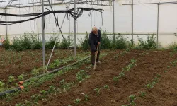 Kocaeli’nde üreticilere yüzde 50 hibeli modern sera desteği