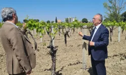 Manisa’da üreticilere genişletilmiş hibe desteği