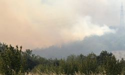 Bursa'da bir yangın daha! Ümitalanda orman yangını