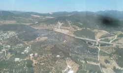 Bursa Osmangazi'de orman yangını hızlı müdahalelerle kontrol altına alındı