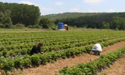 Kocaeli İzmit’te genç girişimcilere destek