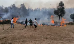 Muğla Büyükşehir ekipleri 6 Ayda 380 anız yangınına müdahale etti