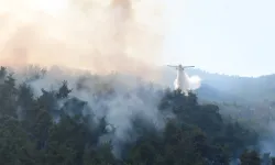 Bursa Kestel'de yangının soğutması 5 gün daha sürecek