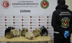 Gümrüklerde yakalamalar yüzde 199 arttı
