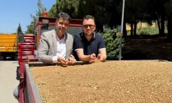TMO 25 bin ton buğday aldı!
