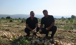 İnegöllü Çiftçinin Yüzü Gülmüyor