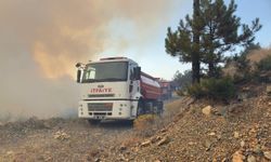 Bursa Orhaneli'de Orman Yangını Devam Ediyor