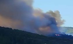 Bursa'da 3 farklı ilçede alevler yükseliyor