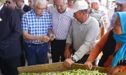 Balıkesir Ayvalık'ta çiftçilere özel destek