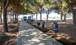 Bursa Yenişehir'e devasa park ve mesire alanı