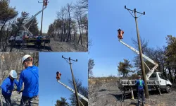 Enerji hatları yangının ardından yeniden onarılıyor
