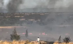 Enez'de orman yangını paniği... Gülçavuş sahili boşaltılıyor