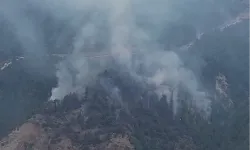 Karabük Yeşilköy’de orman yangını