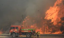 Orman yangınlarında son durum... Manisa ve Çanakkale'de mücadele sürüyor