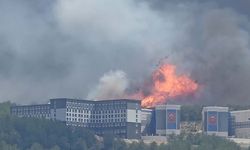 Çanakkale'de Büyük Orman Yangın