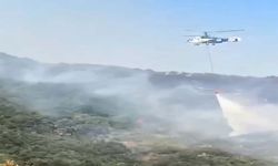 Bursa İznik'te Büyük Orman Yangını