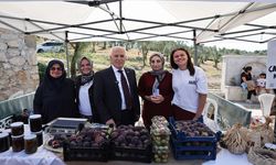 Çağlar öncesine festival tadında yolculuk