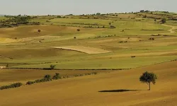 Atıl arazileri bulunan arazi sahipleri dikkat!